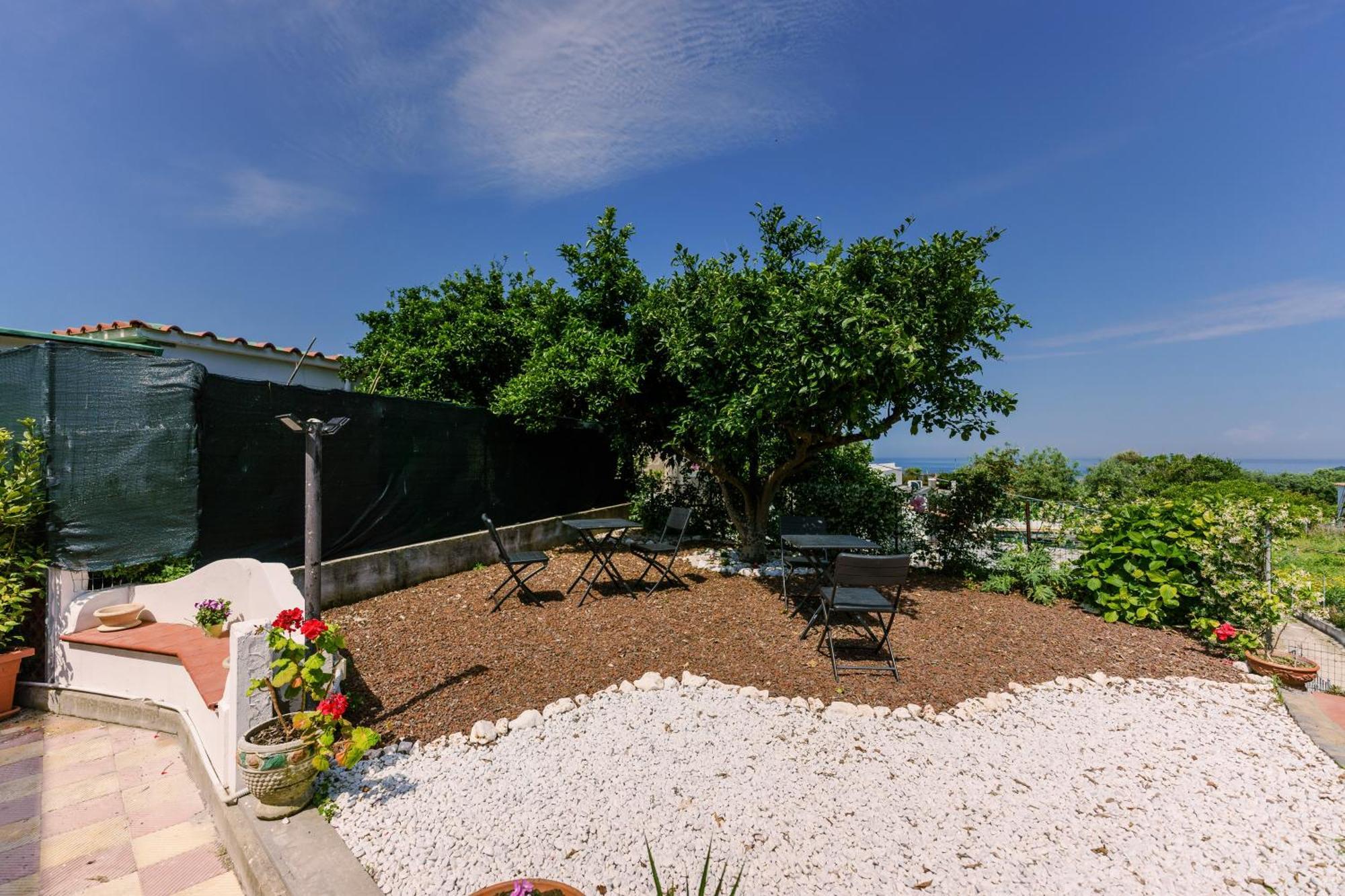 Le Jardin Bed & Breakfast Procida Eksteriør bilde