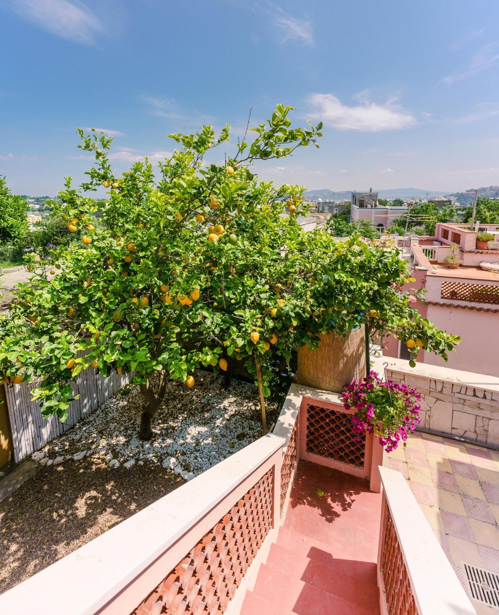 Le Jardin Bed & Breakfast Procida Eksteriør bilde